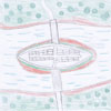 L'enceinte